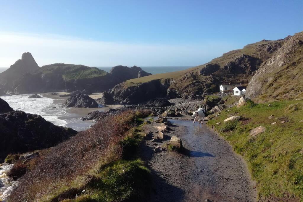 Farm Accommodation - The Lizard Peninsula, Cornwall Helston Exterior foto